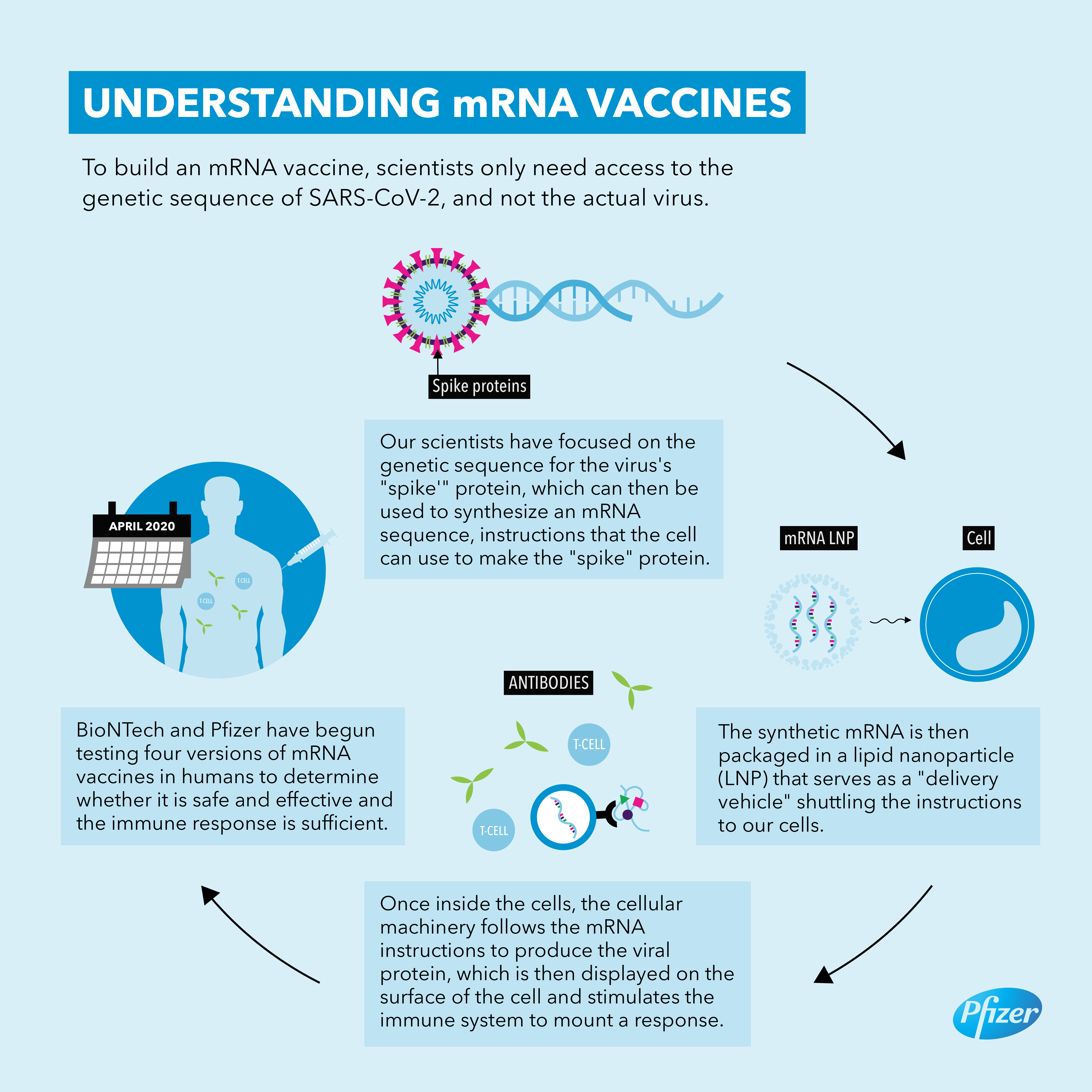 research on mrna vaccines