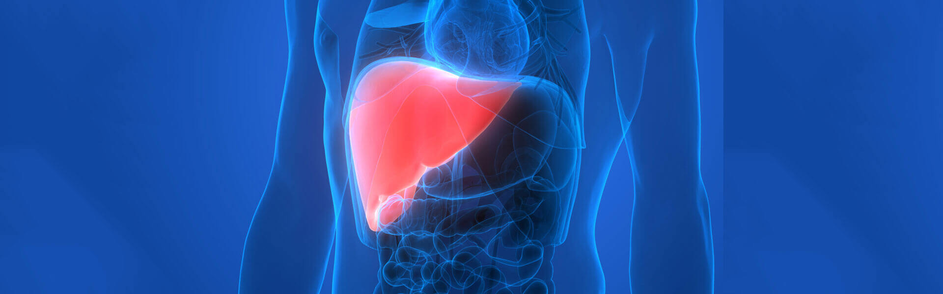 What You Need to Know about This Silent Liver Disease Called NASH