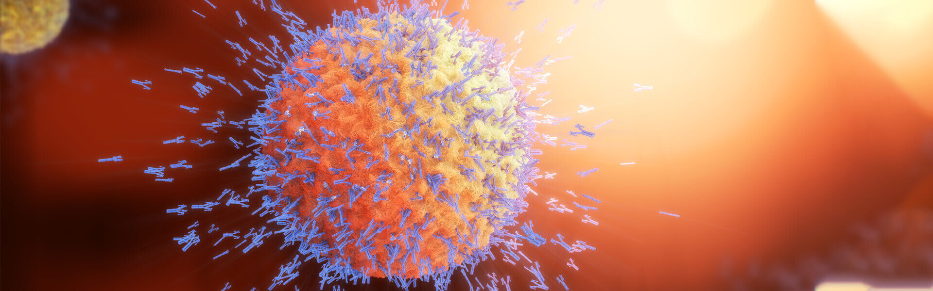 Unlocking the Secrets of the Immune System