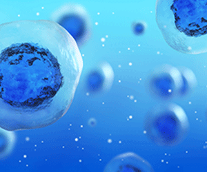 cells_phot0_300X250_0.png