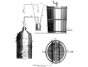 diagram showing mold fermentation process