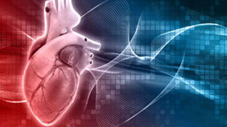 The Value of AFib Screening: Bridging the Gap Between the Undiagnosed and Early Detection