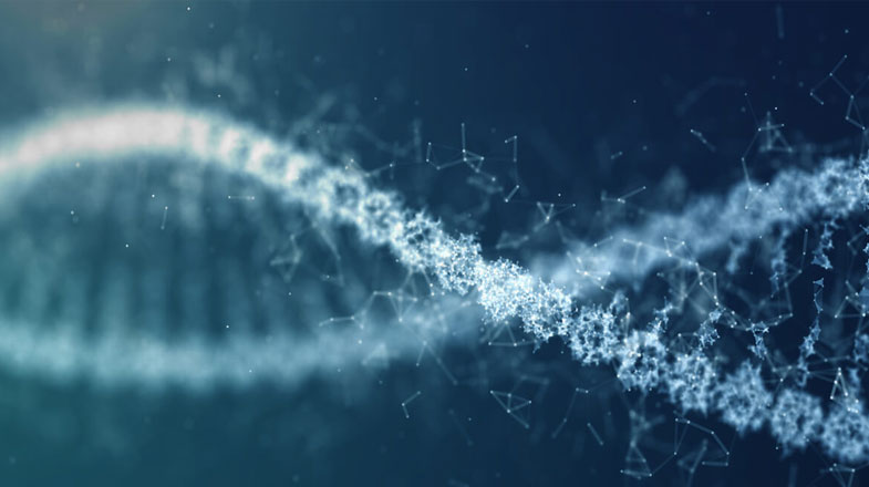 Genes as Medicine: Understanding Gene Therapy