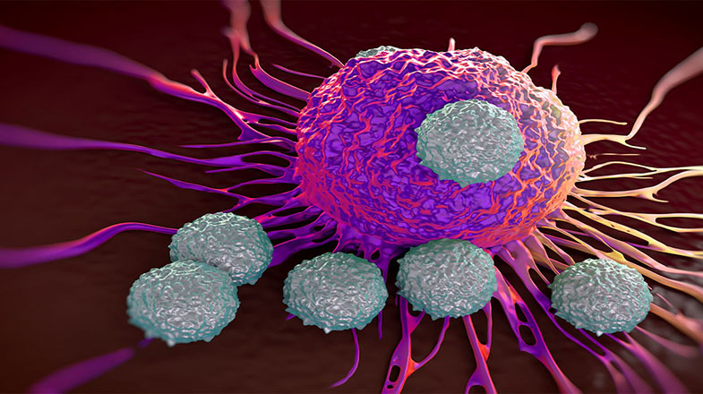 t-cells_attacking_cancer_cell_illustration_of_microscopic_photos_775_x_716_1.jpg