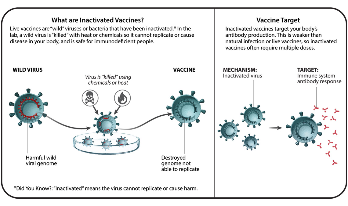 Understanding Six Types of Vaccine Technologies Pfizer