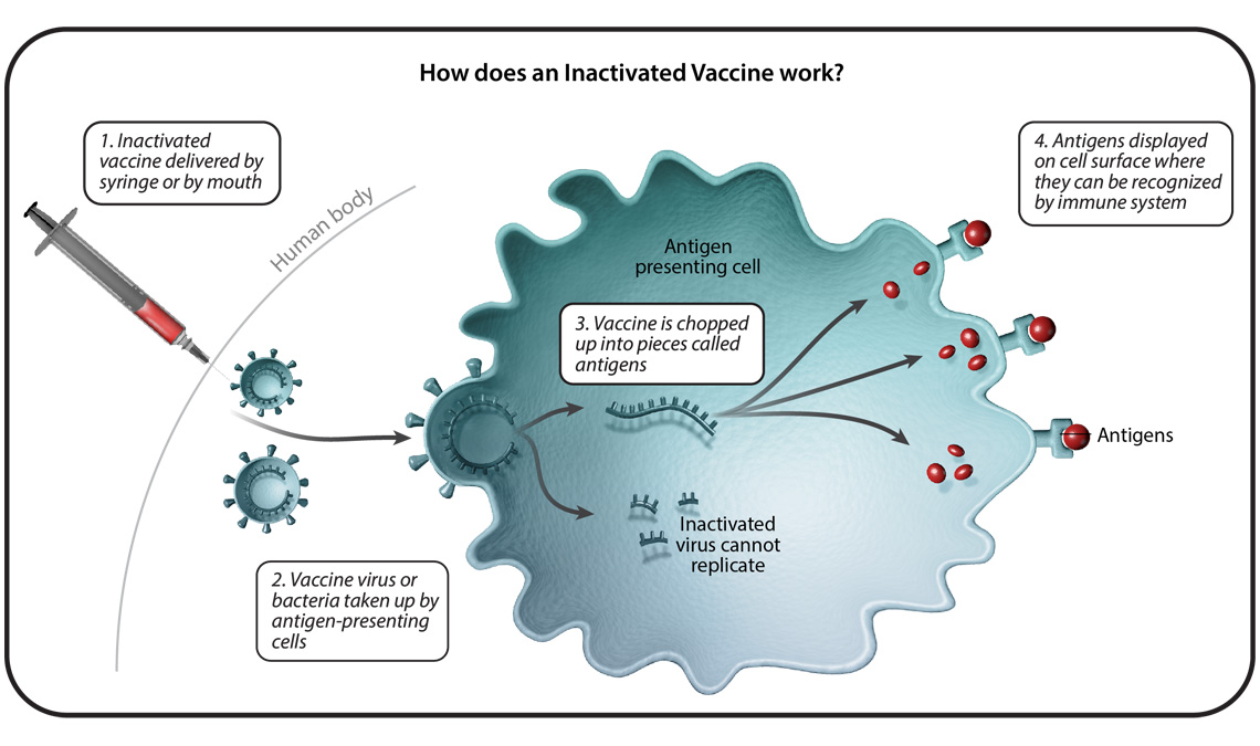 Understanding Six Types of Vaccine Technologies | Pfizer