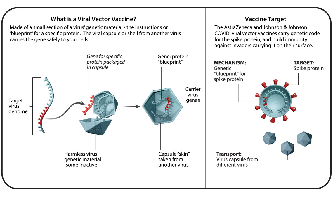 6-viral-vector-vaccine-01_1140X675_0.jpg