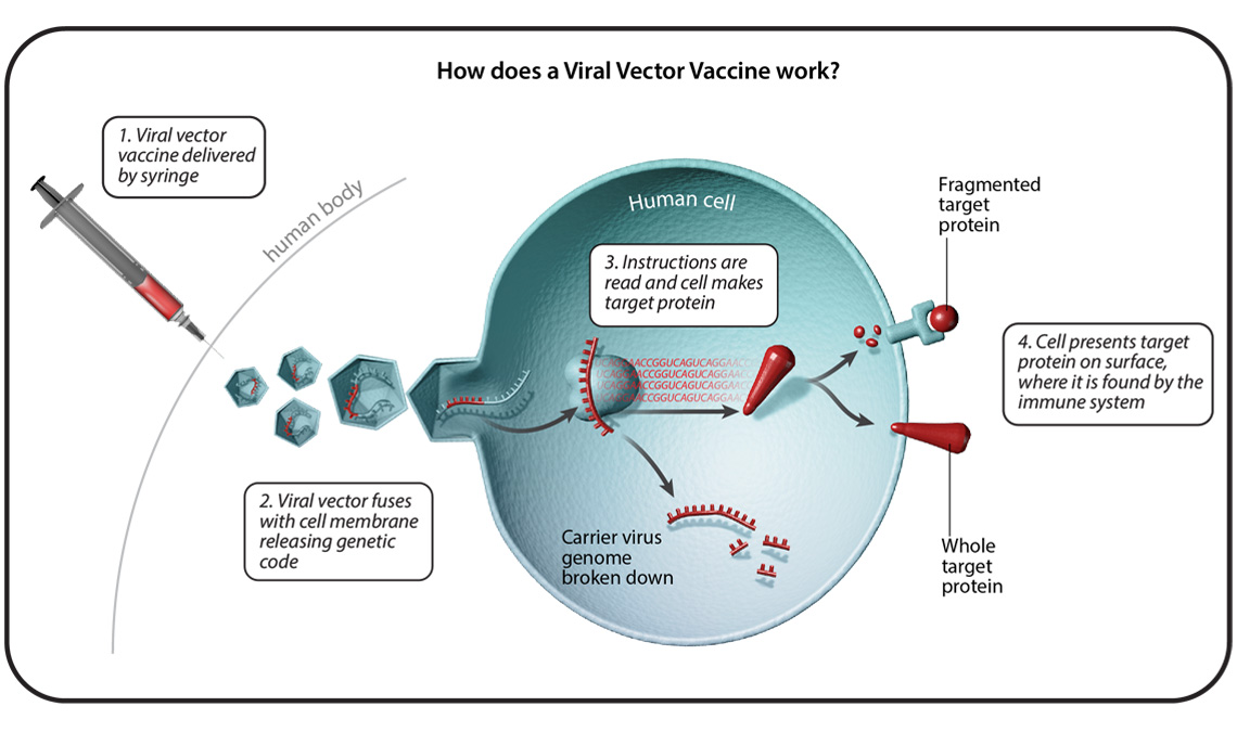 6-viral-vector-vaccine-02_1140X675_0.jpg