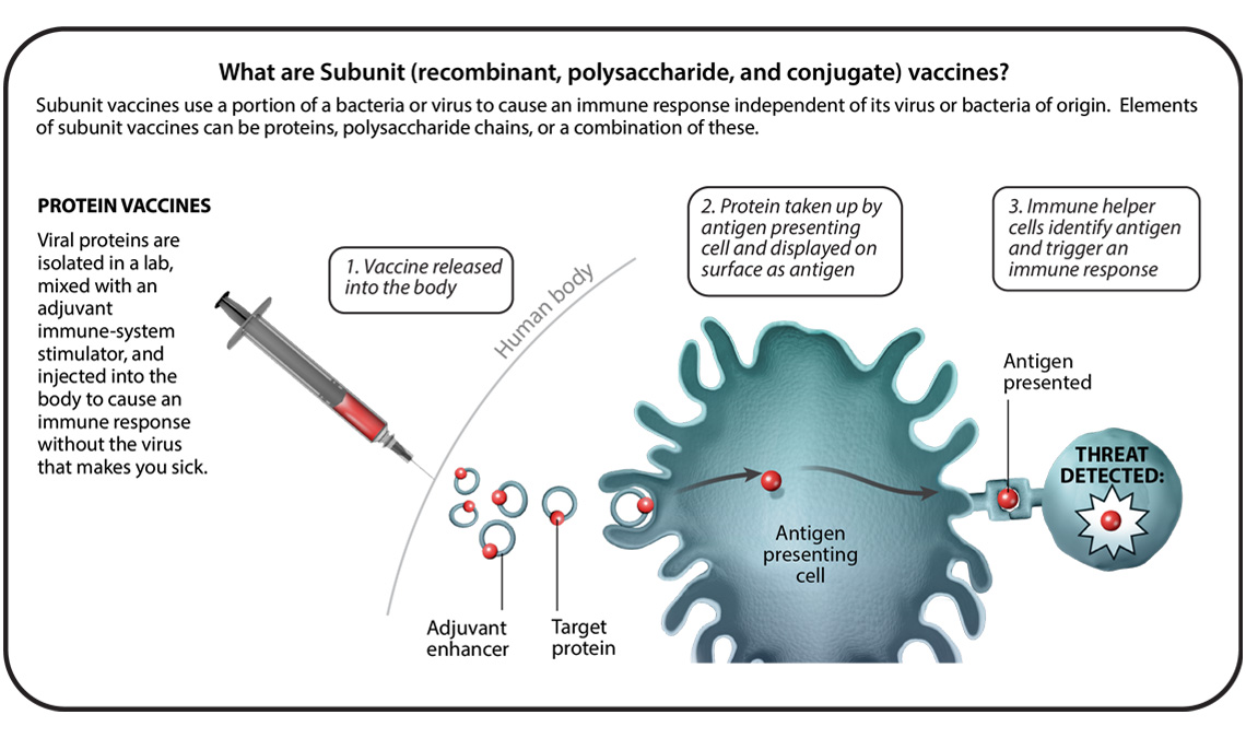 Understanding Six Types Of Vaccine Technologies Pfizer Understanding Six Types Of Vaccine Technologies Pfizer