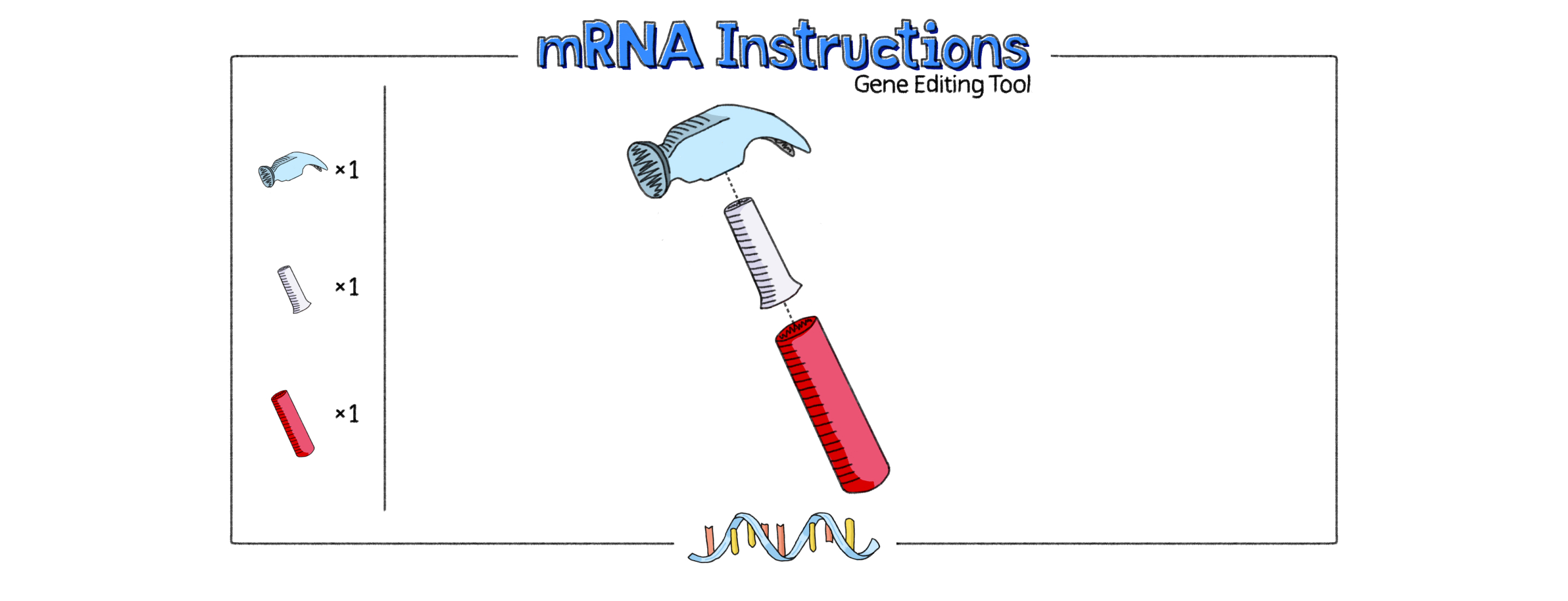 mRNA_Part02_Image01-final_0.jpg