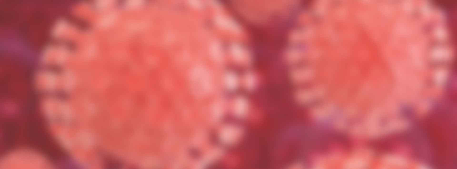 The Antigen