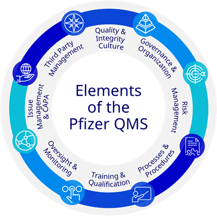 pfizer_qms_wheel.png