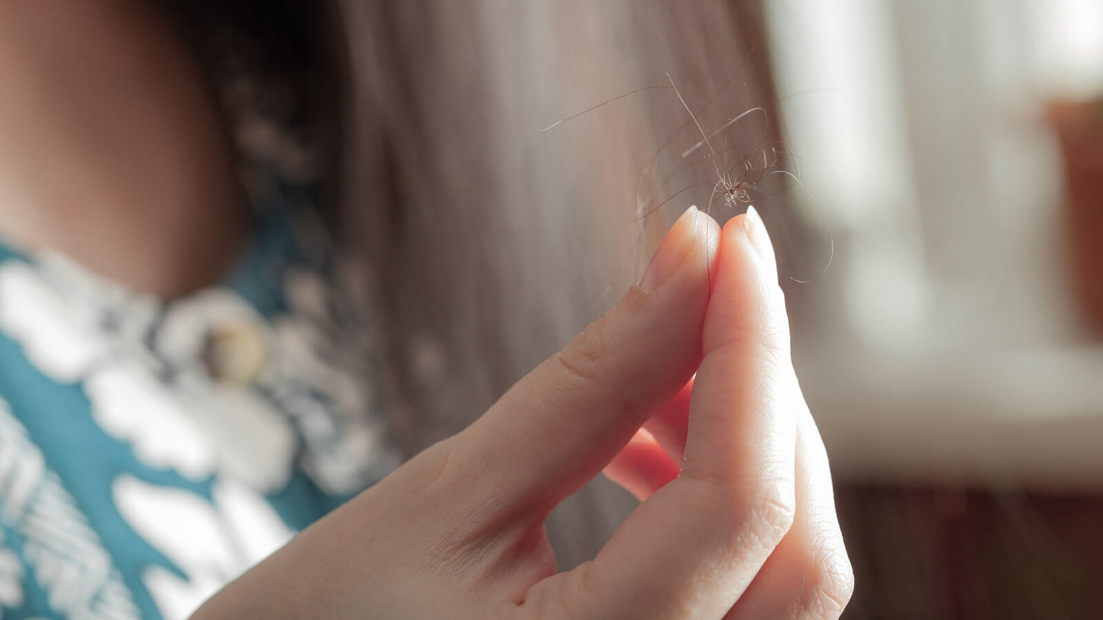 woman holding strands of hair