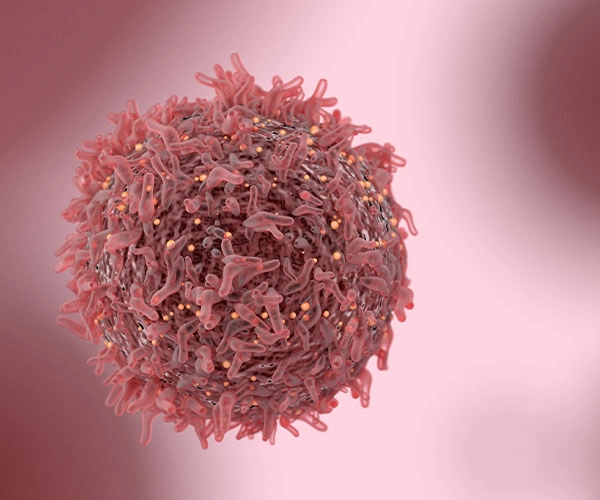 oncology cancer cell