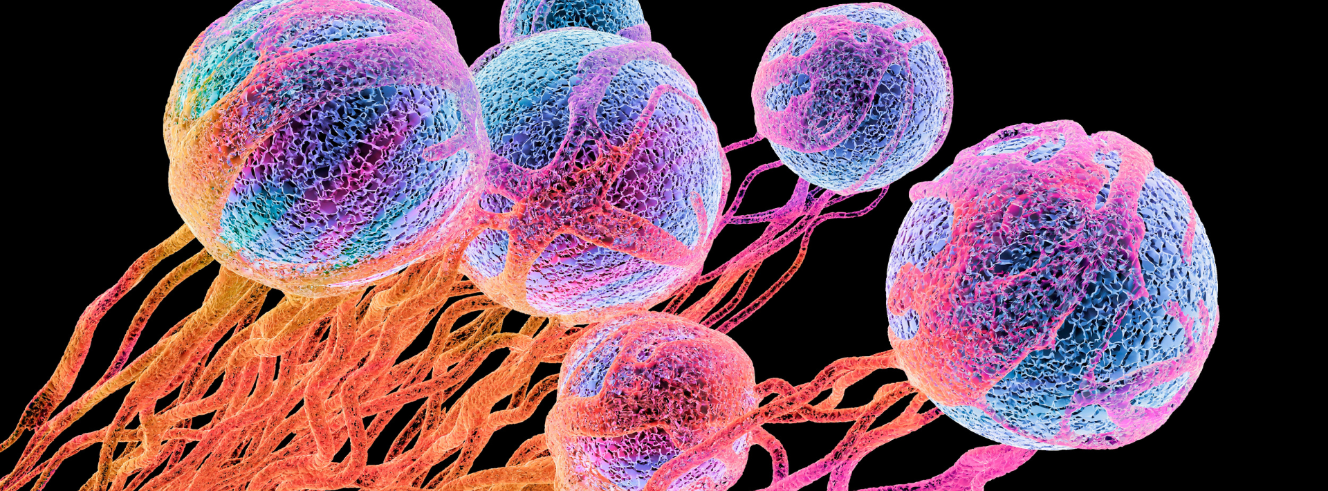 Science Will Win Podcast Image Cover