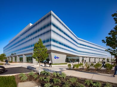 Modern glass St. Louis, MO building under a clear blue sky with landscaped walkway