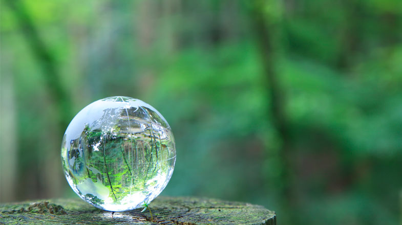 Glass sphere on a mossy surface reflecting a lush green forest backdrop