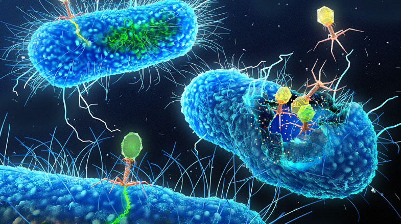 Colorful 3D illustration of viruses attacking bright blue rod-shaped bacteria