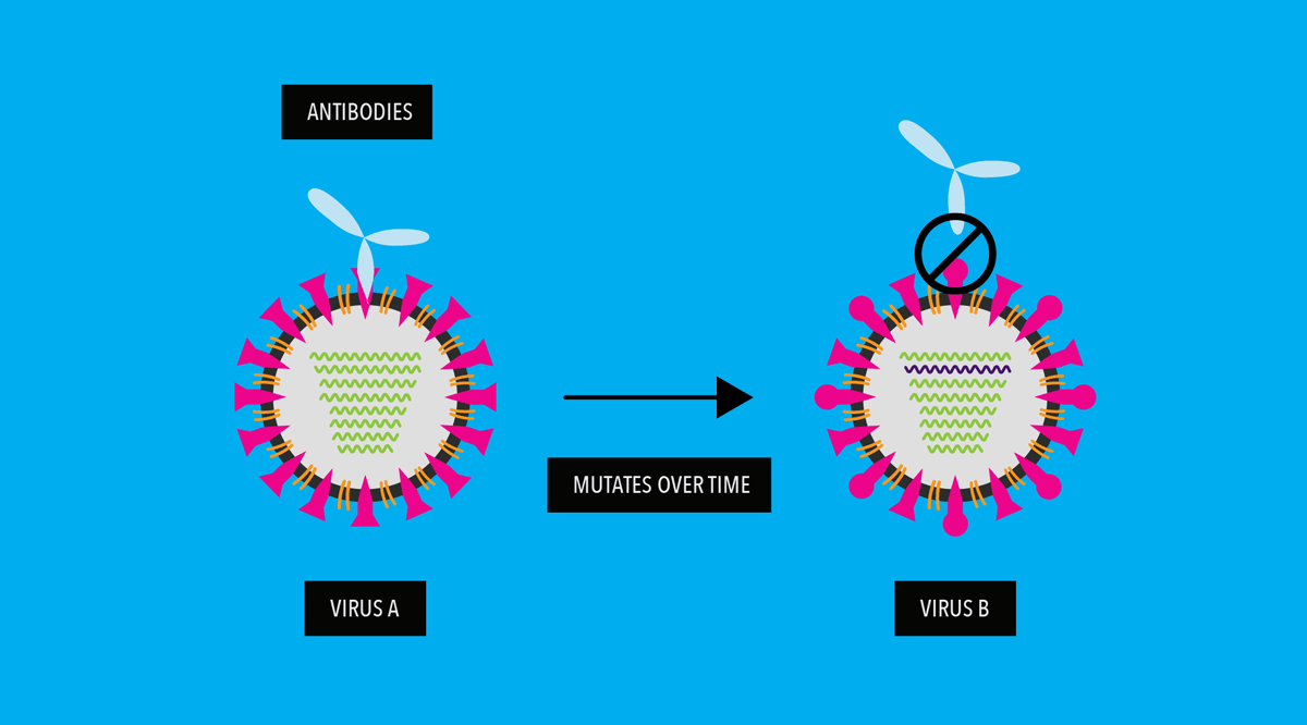 How Do Viruses Mutate And What It Means For A Vaccine Pfizer 6740