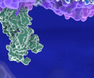 Media Name: biologics_tile_300x250px.png