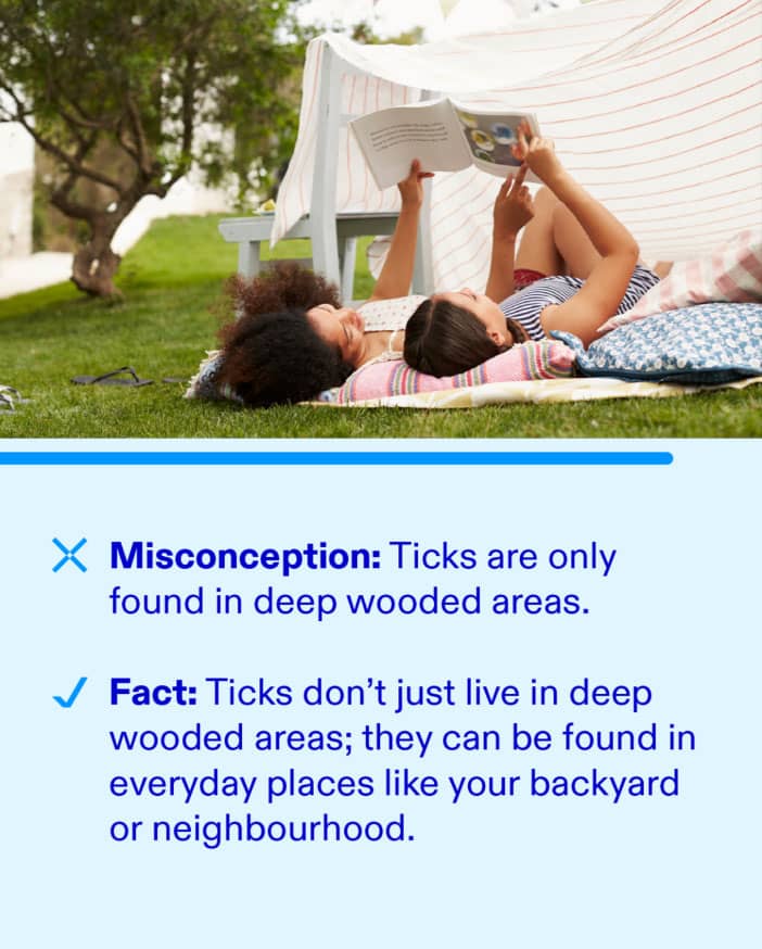 Common Lyme Disease Misconceptions 1