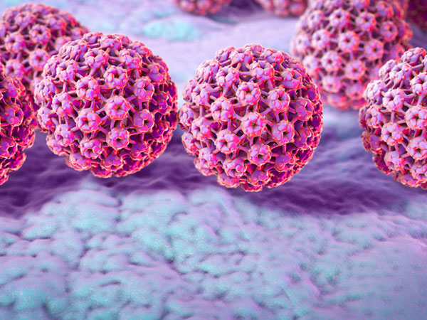 Human papilloma virus (HPV), computer illustration. HPV causes warts