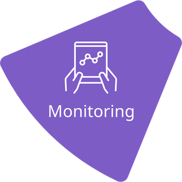 Monitoring Infographic