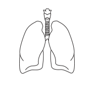 more_than_60000_infographic_logo.png