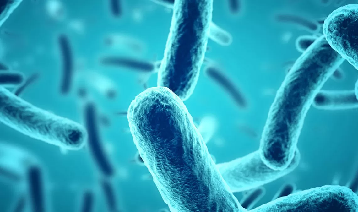 antimicrobial_resistance_1140X675.jpg