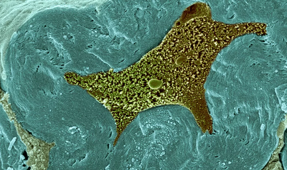 breaking_the_rules_of_biology_1140X675.jpg