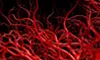 focus_on_tobacco_100X60.jpg
