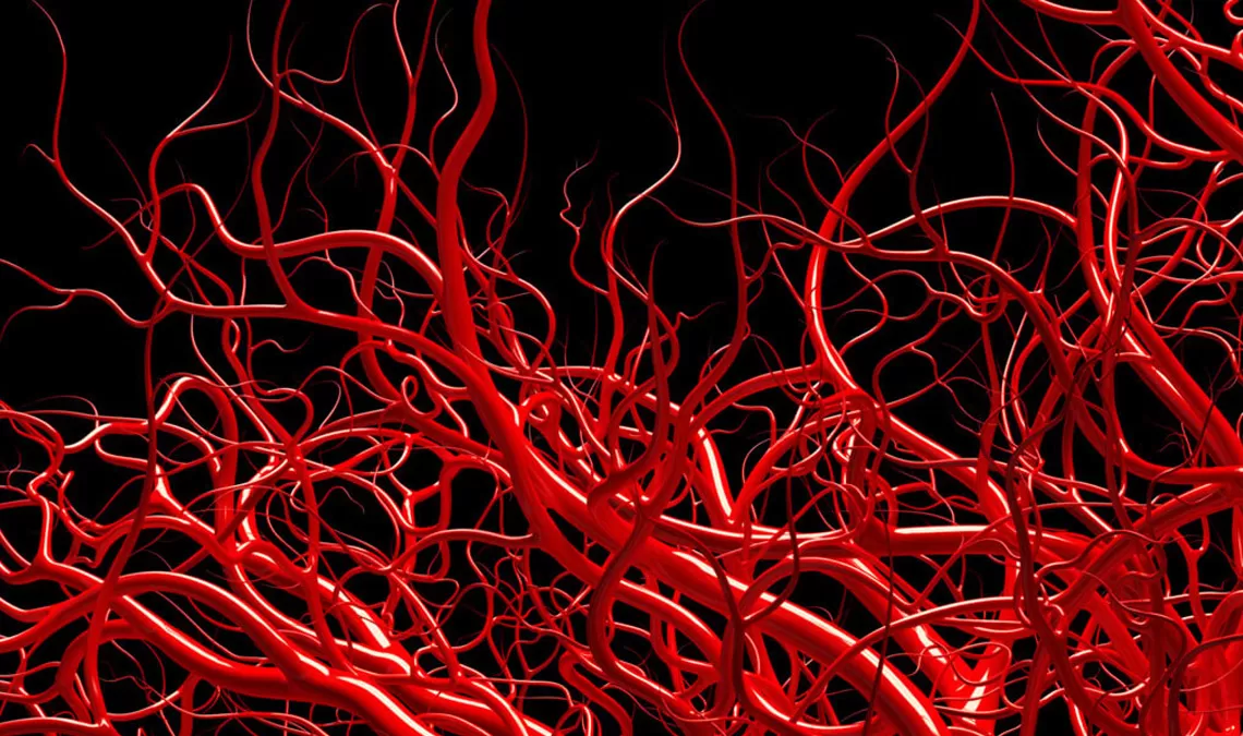 focus_on_tobacco_1140X675.jpg