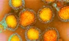 new_rna_technology_100X60.jpg