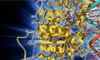 our_dna_dimmer_100X60.jpg