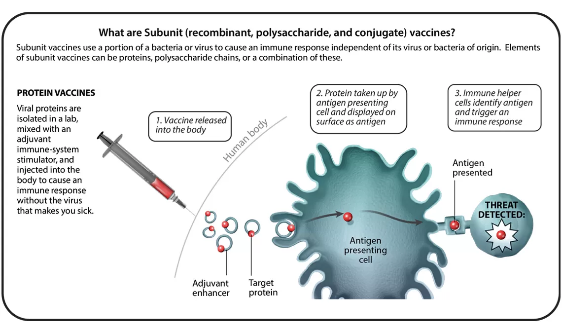 Understanding Six Types Of Vaccine Technologies | Pfizer