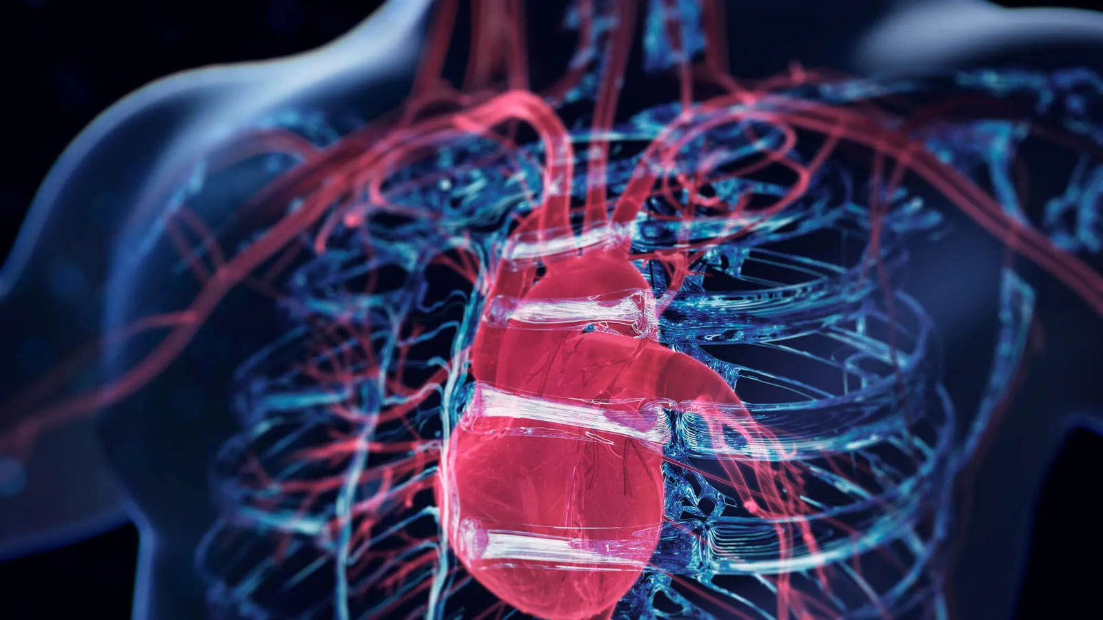 Blue holographic human body and close-up red heart.