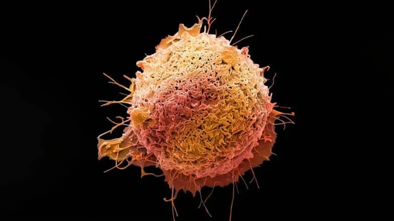 Up close image of a cell, thumbnail