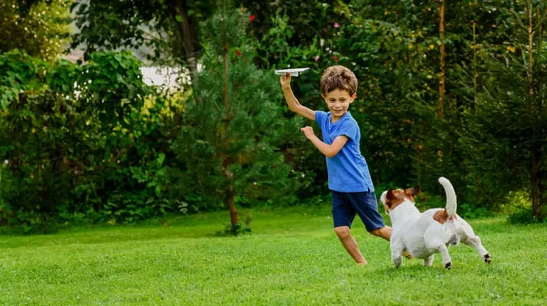 Upfront boy playing in backyard with dog thumbnail