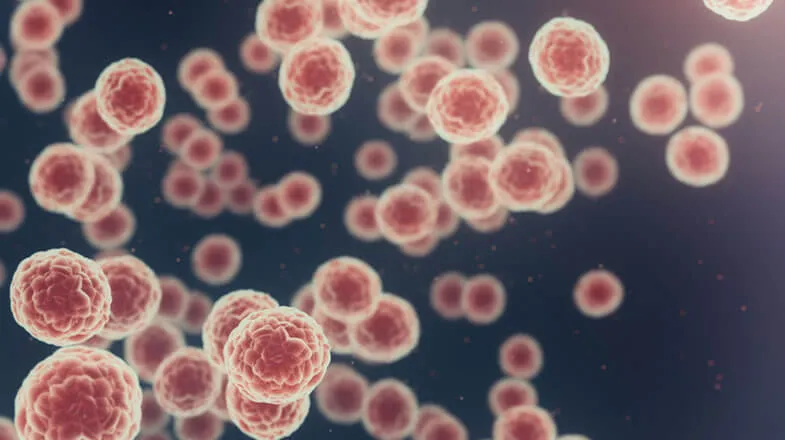 Graphic of many pink microscopic cells floating against a dark background thumbnail