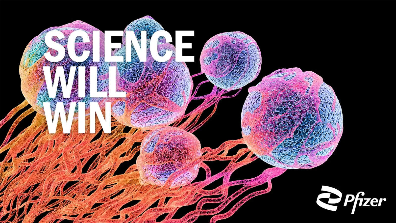 Pfizer graphic with colorful microscopic cells on a black background