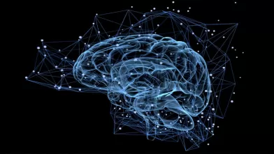get_science_ampk_brain_homepage_square_785x440.jpg