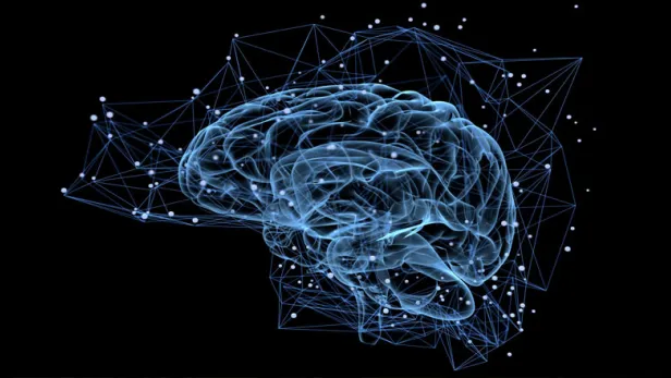 get_science_ampk_brain_homepage_square_785x440.jpg
