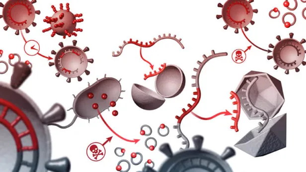 vaccine-overview_hero-FINAL_785X440_opt_0.jpg