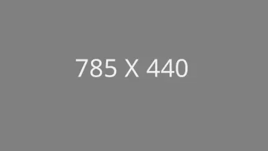 785X440.jpg
