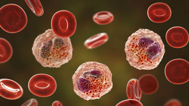 cells