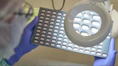 Paxlovid Development