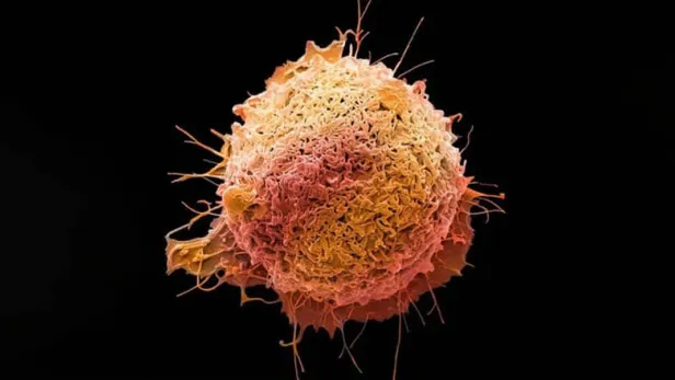Up close image of a cell, thumbnail