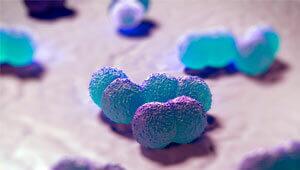 What is Bacterial Meningitis?