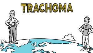 Media Name: Blueprint-Animation-Hero-300x170.jpg