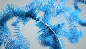 Pfizer Opens 2021 Call for Proposals for Pre-Clinical Collaboration